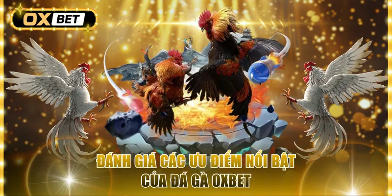 Đánh giá các ưu điểm nổi bật của đá gà Oxbet